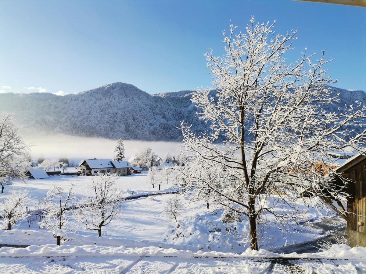 Tourist Farm Mulej Villa Bled Esterno foto