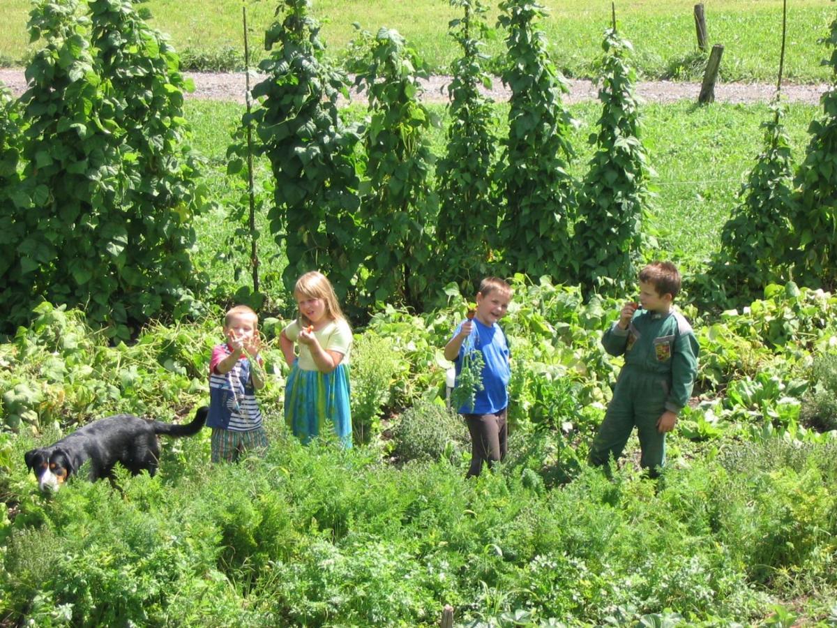 Tourist Farm Mulej Villa Bled Esterno foto